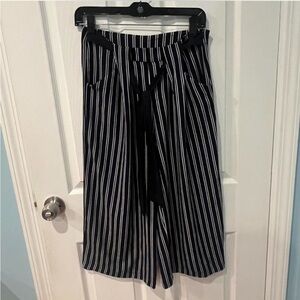 Aqua Black and White Striped Wide-Leg Pants